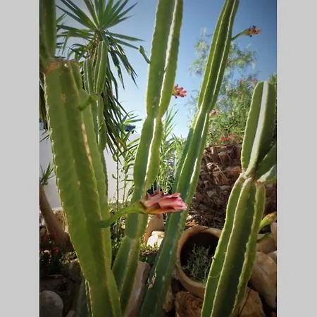 Riviera Paradise : Unique Vacations Experience *