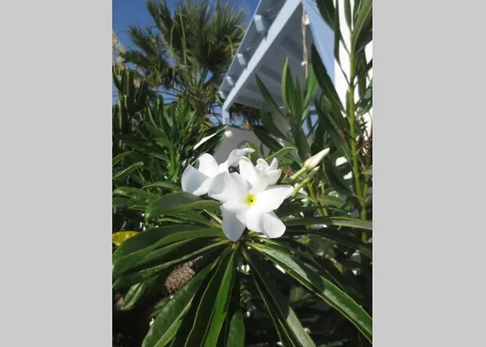 Riviera Paradise : Unique Vacations Experience * Alikó-part