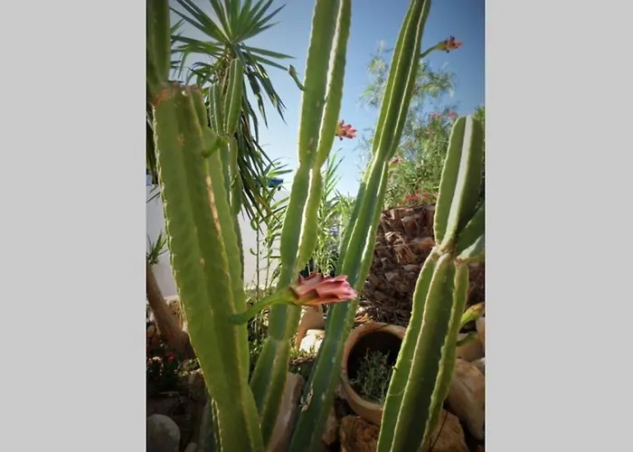 Riviera Paradise : Unique Vacations Experience *